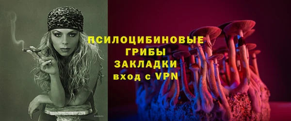 PSILOCYBIN Лиски