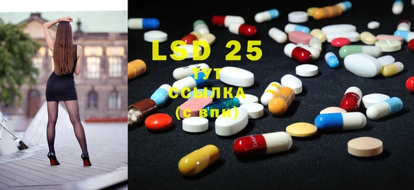 PSILOCYBIN Лиски