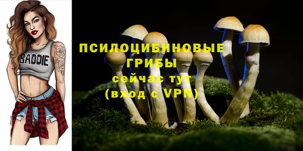 бутират Липки